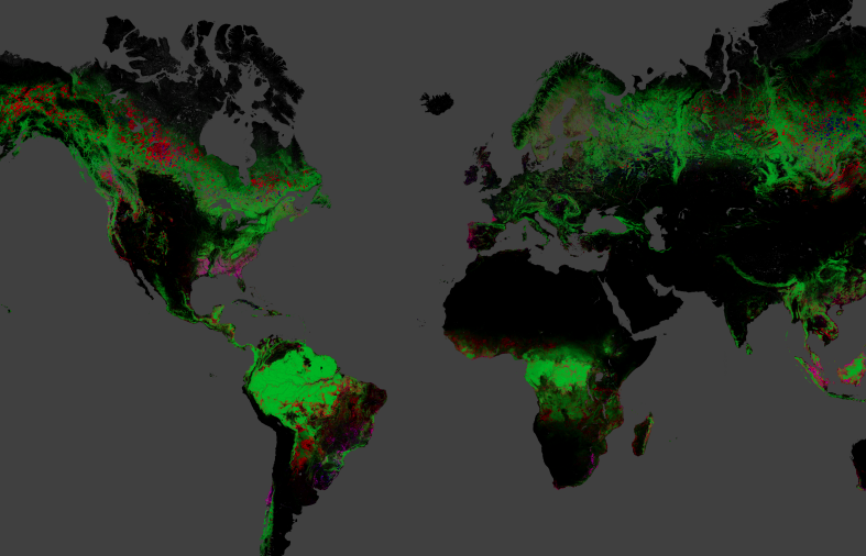 GIS Forest cover