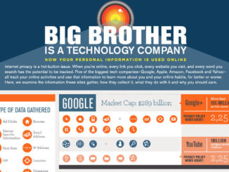 Big brother infographic
